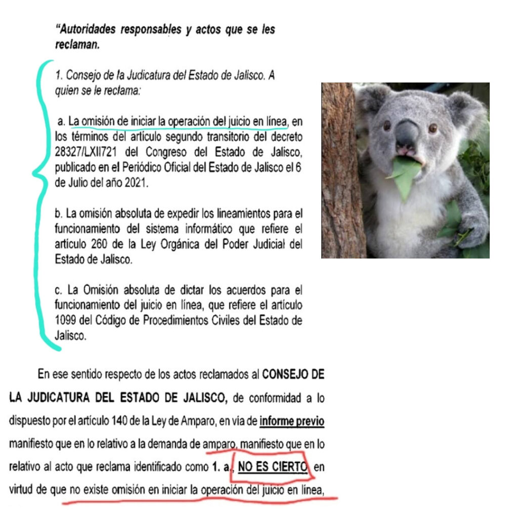 El Poder Judicial de Jalisco considera ya hay jucio en línea ...