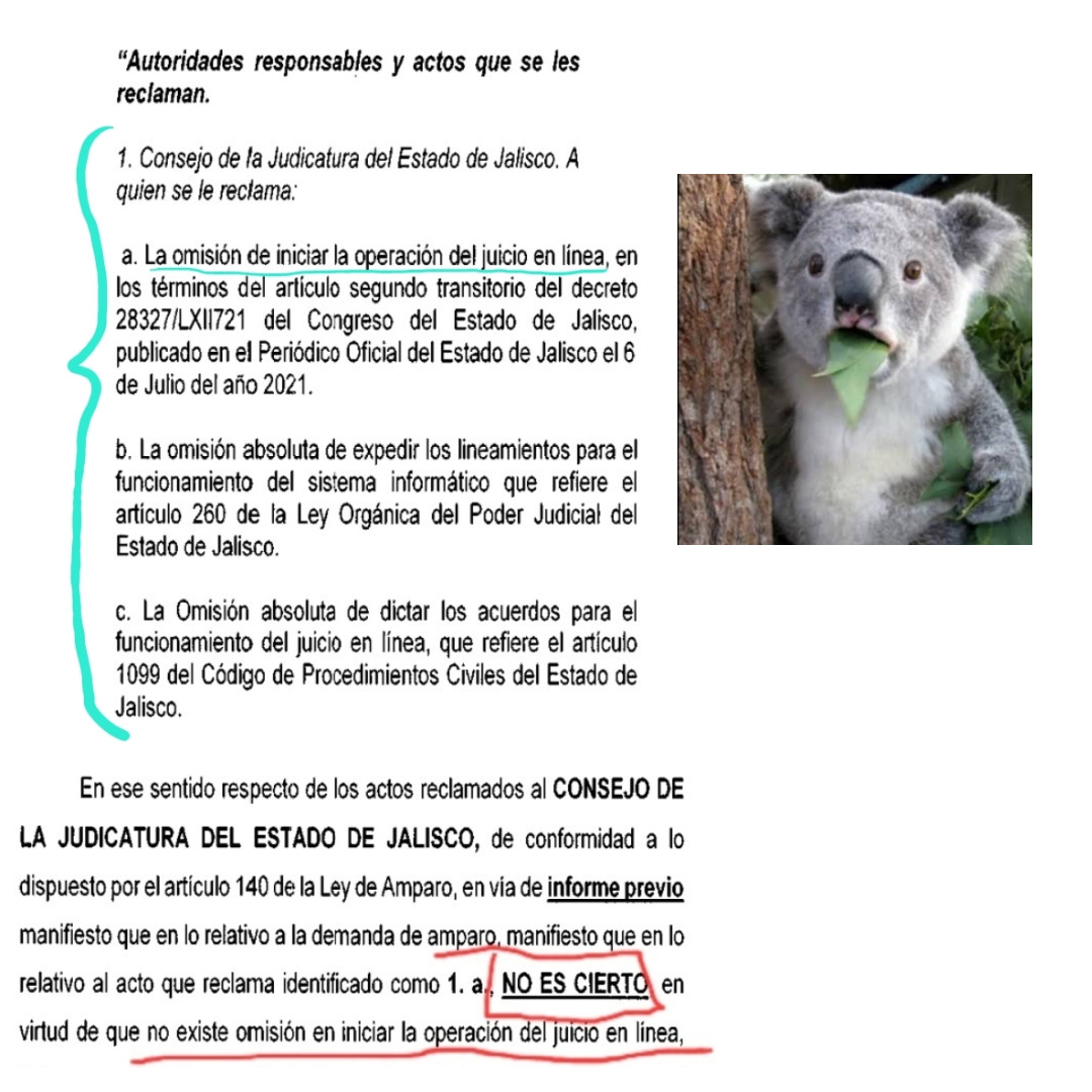 El Poder Judicial de Jalisco considera ya hay jucio en línea ...
